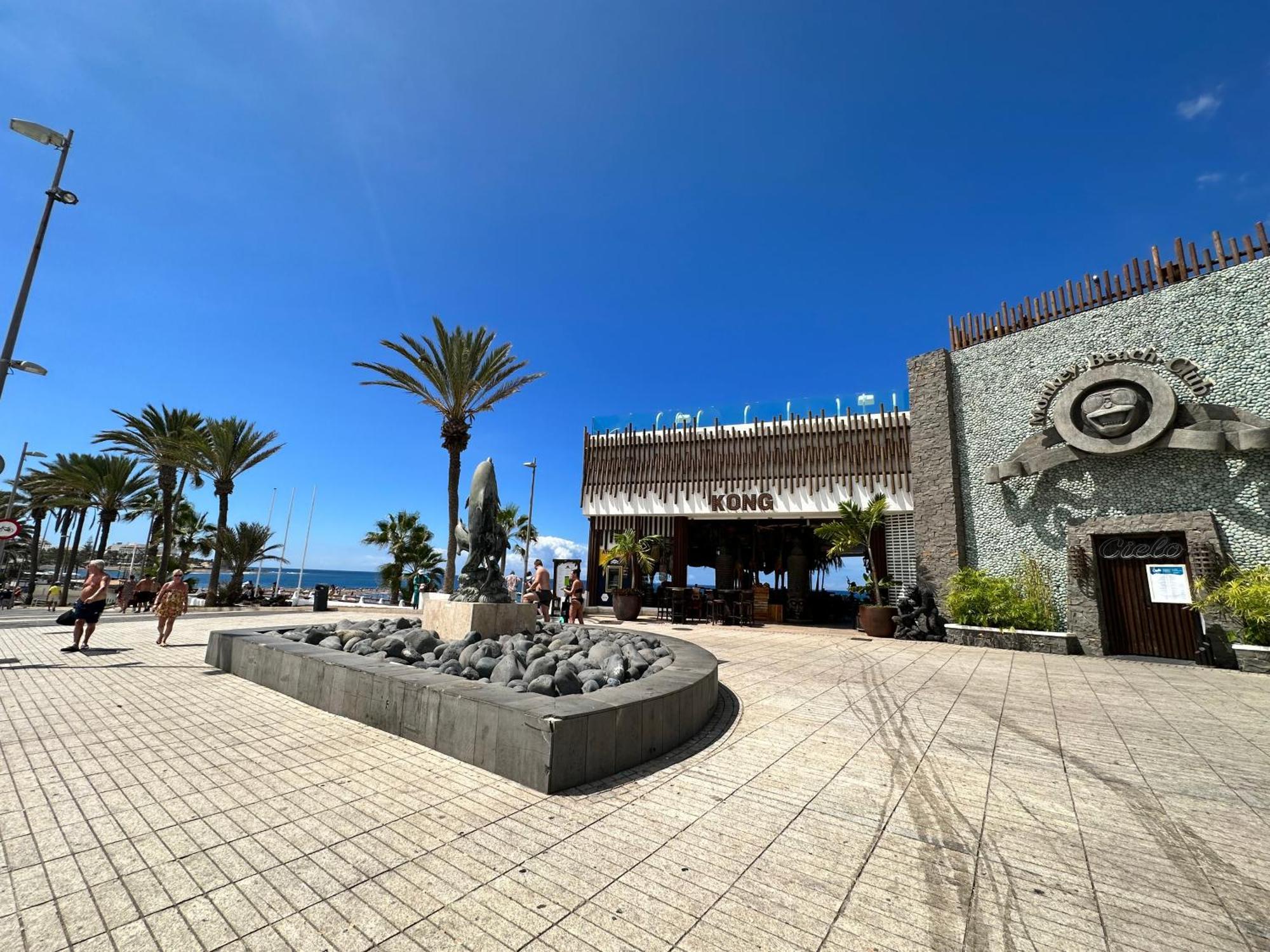 Torres De Yomely - Y2F Apartment Playa de las Americas  Exterior photo